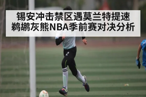 锡安冲击禁区遇莫兰特提速 鹈鹕灰熊NBA季前赛对决分析